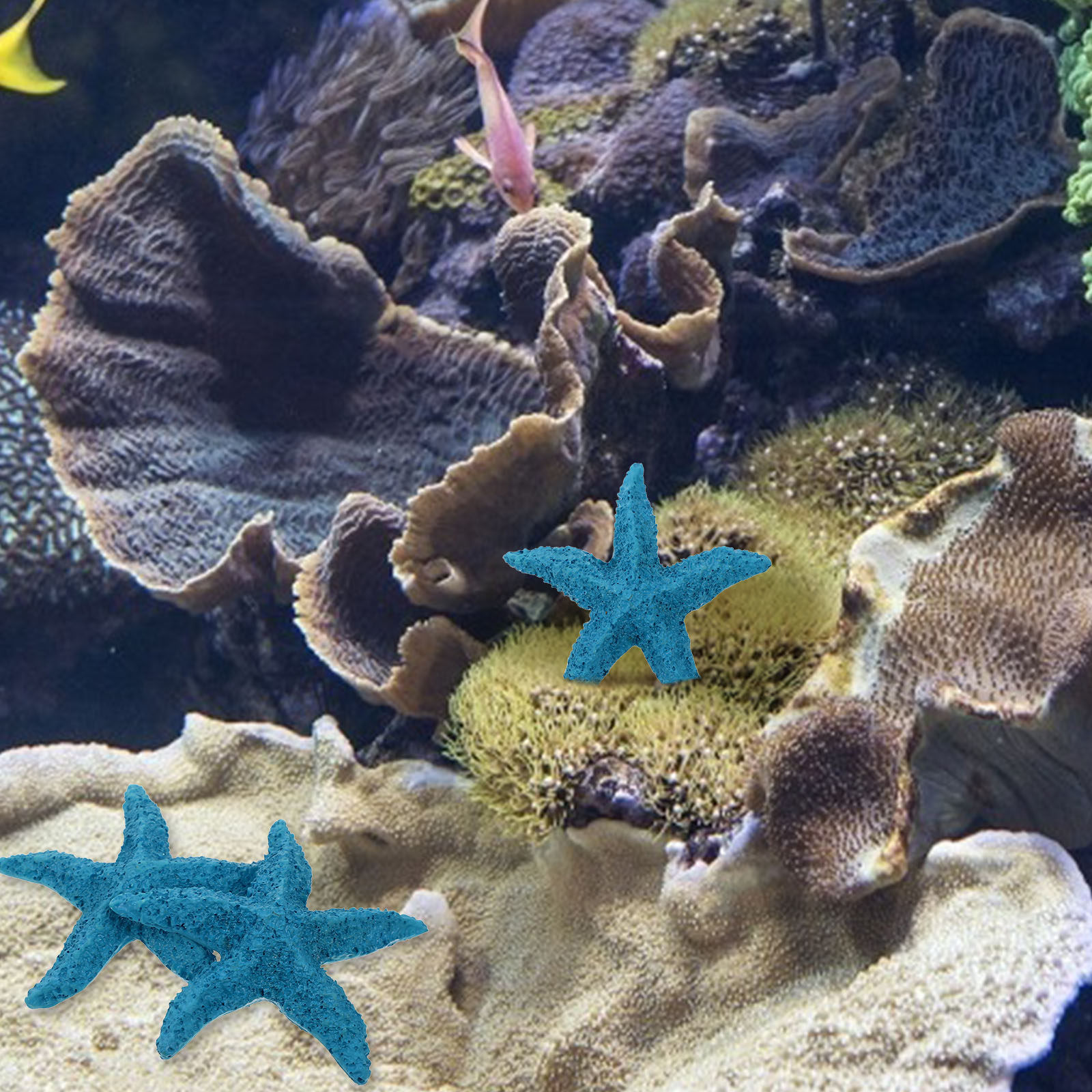 Marine Aquarium Home - 2 Stücke Lebensechte Seestern-Aquarium-Dekoration aus Kunstharz,