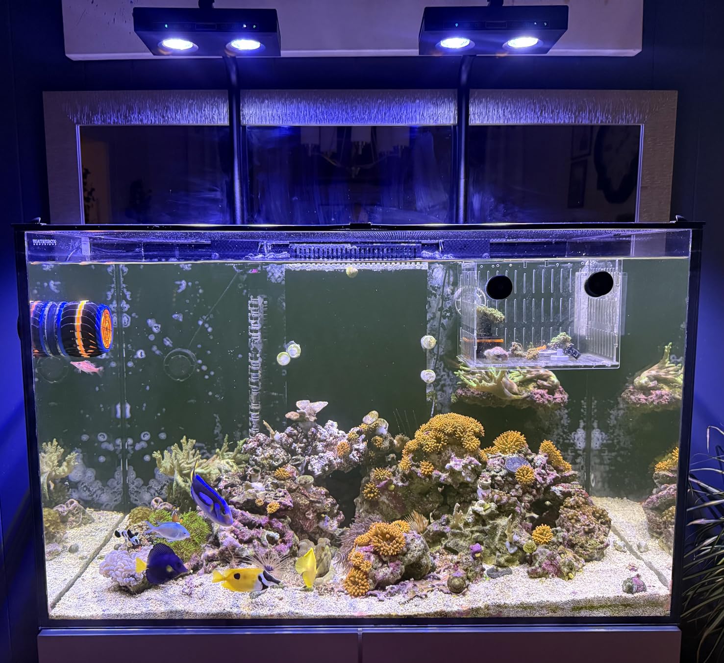 Marine Aquarium Led Lights - Hochleistungs-DIY-Spektrum 90W G5 Aqua Star Timer