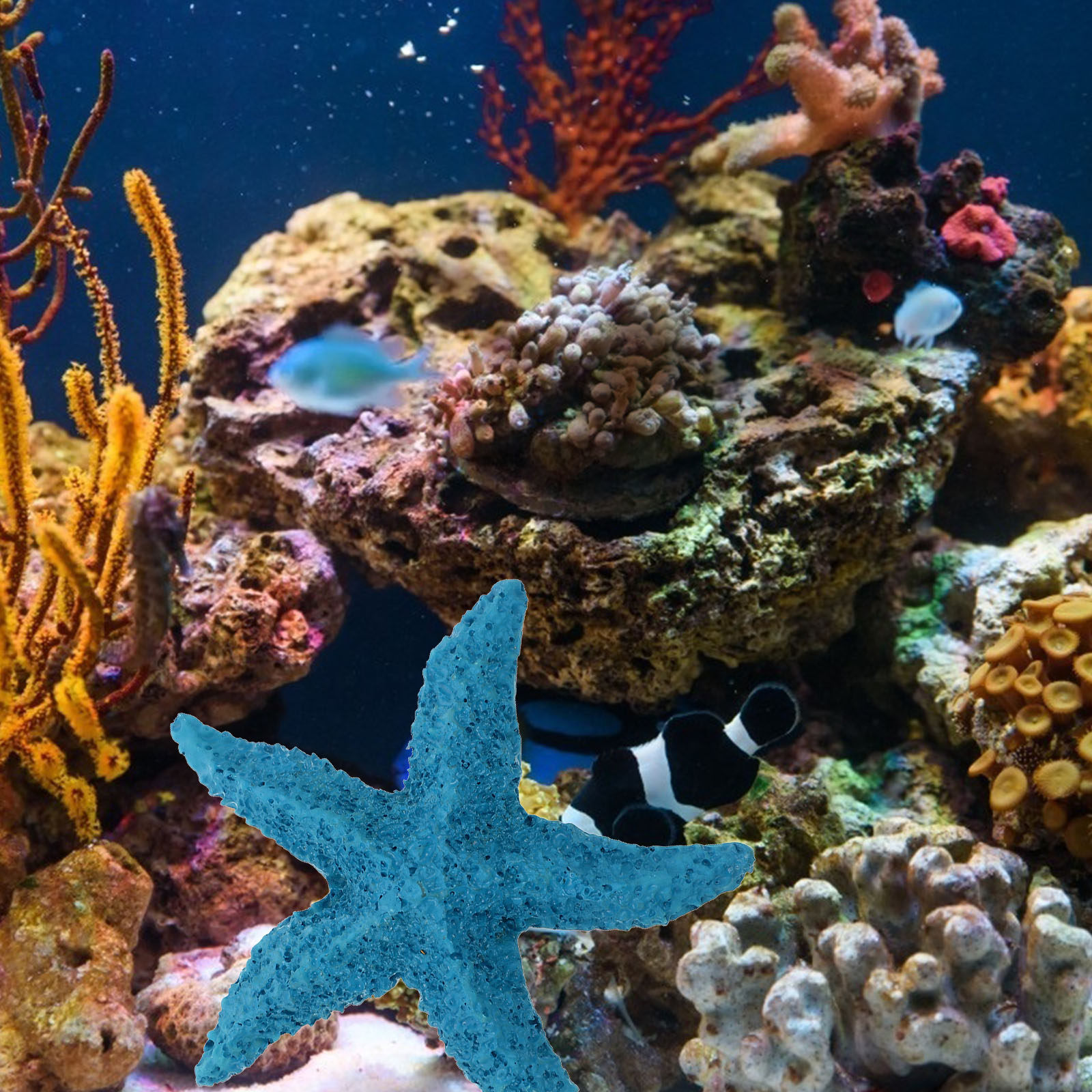 Marine Aquarium Home - 2 Stück Meerestier-Ornamente aus Kunstharz, Aquarium-Dekoration,