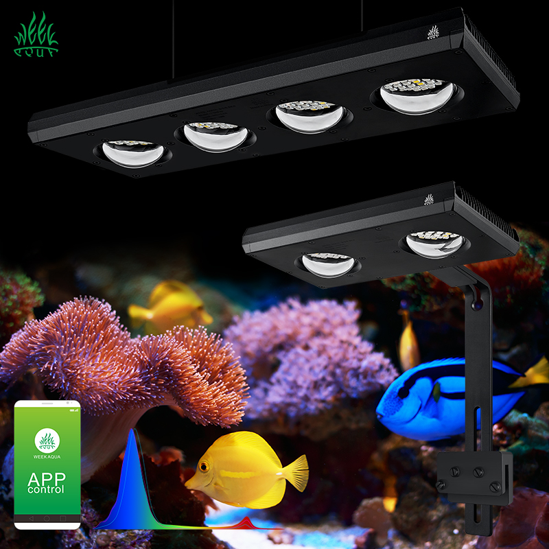 Marine Aquarium App - ZXY Heißer Verkauf WEEKAQUA Z250 Z400sea