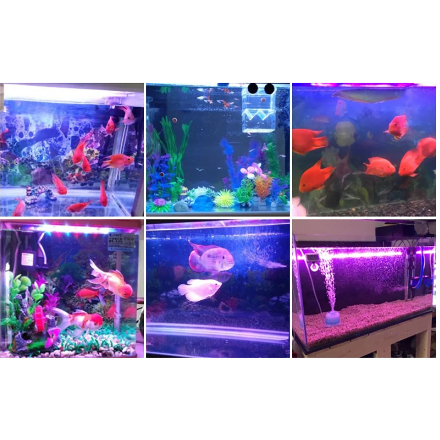 Aquarium Marine Color - 50W 60W 70W 100W RGB 26-28V
