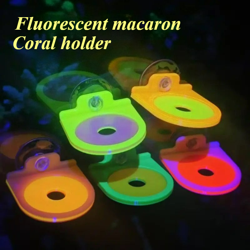Aquarium Marine Color - Farbe Zufällig Korallen Frag Halter Halterung