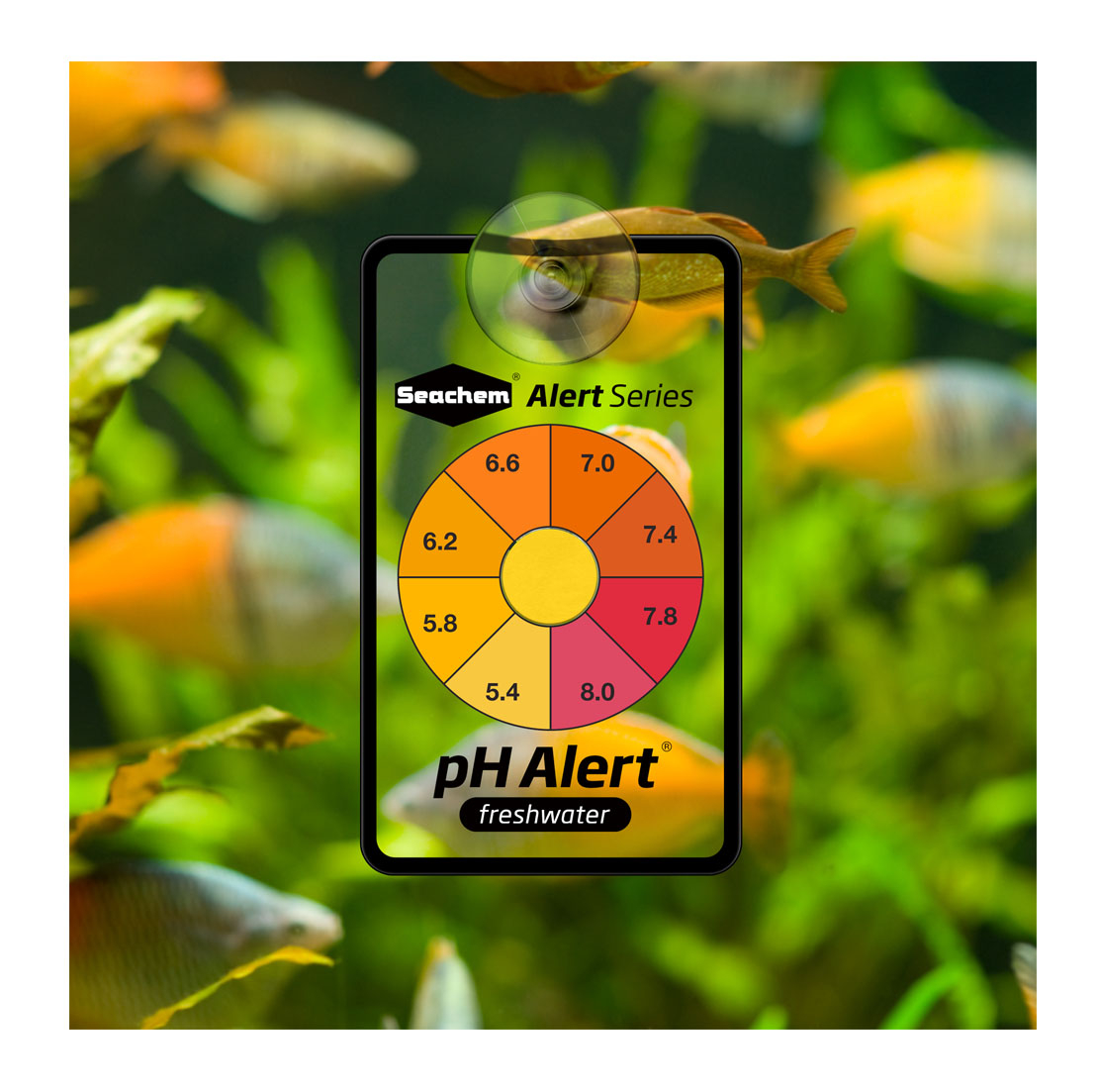 Seachem wasser test ph alarm n – Marine Aquarium Test Kit Bewertung und Preis