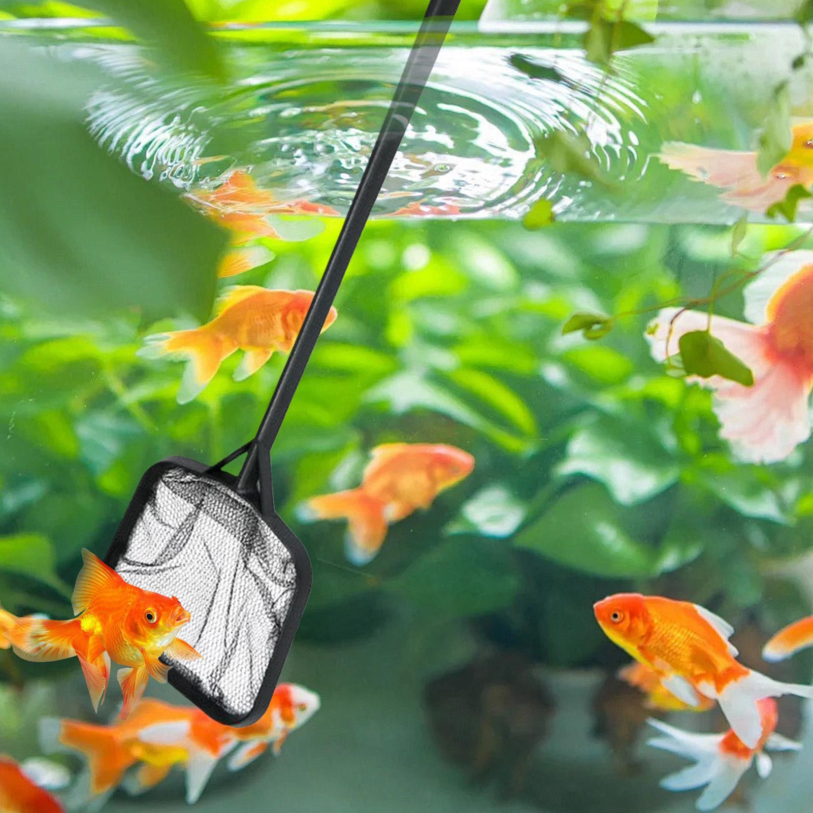 Poolnetze zur Reinigung, tragb – Marine Aquarium Equipment Bewertung und Preis