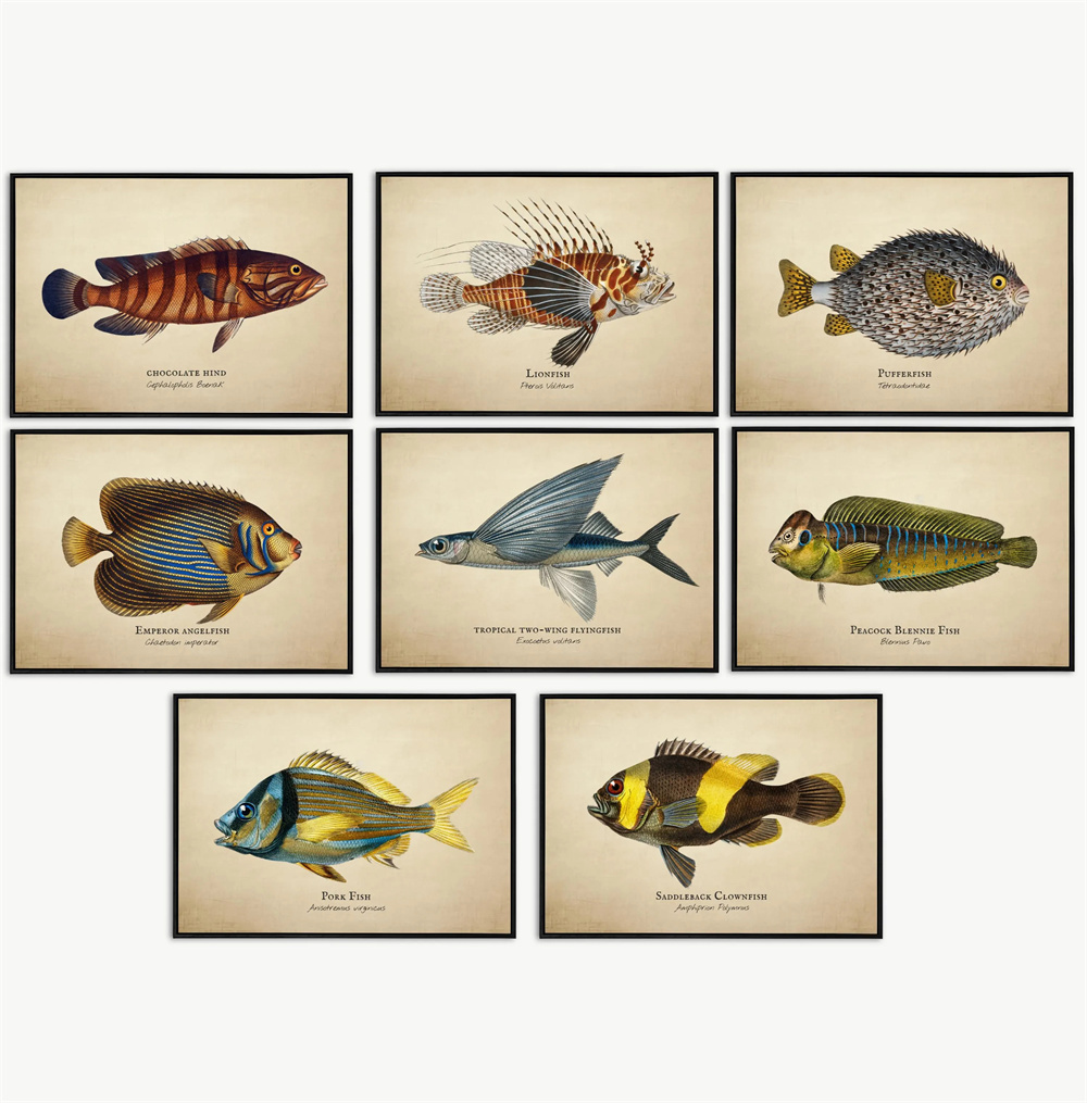 Vintage Bilder Tropische Fisch – Marine Aquarium Home Bewertung und Preis