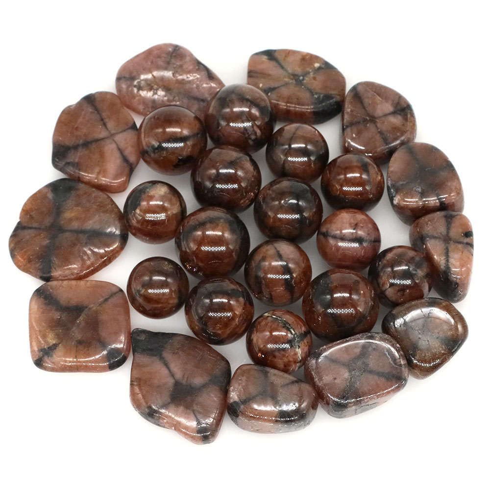 Natürliche Kreuz-Chiastolith-Q – Aquarium Marine Stone Bewertung und Preis