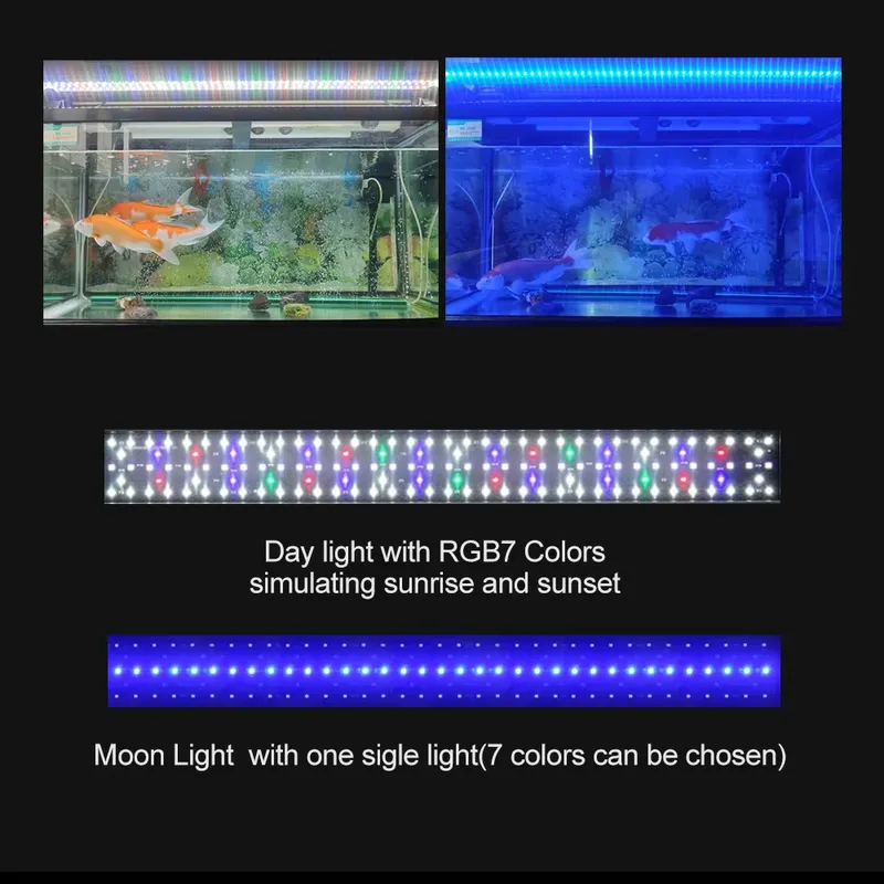 SIROKA Hochwertige IP68 Wasser – Marine Aquarium Hours Bewertung und Preis