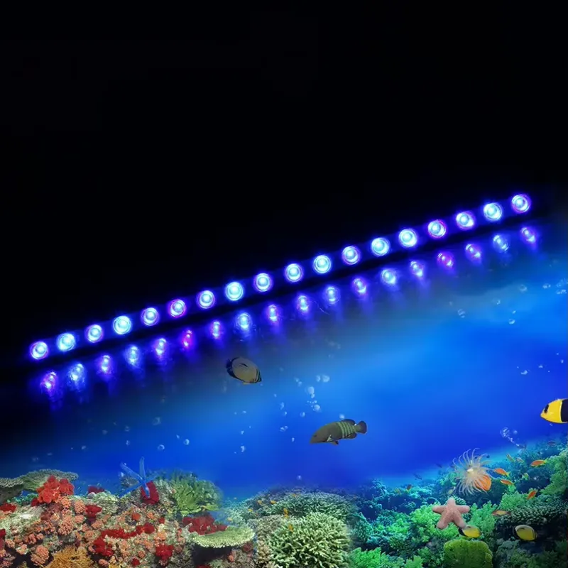Dimmbares LED-Aquariumlicht mi – Marine Aquarium Hours Bewertung und Preis