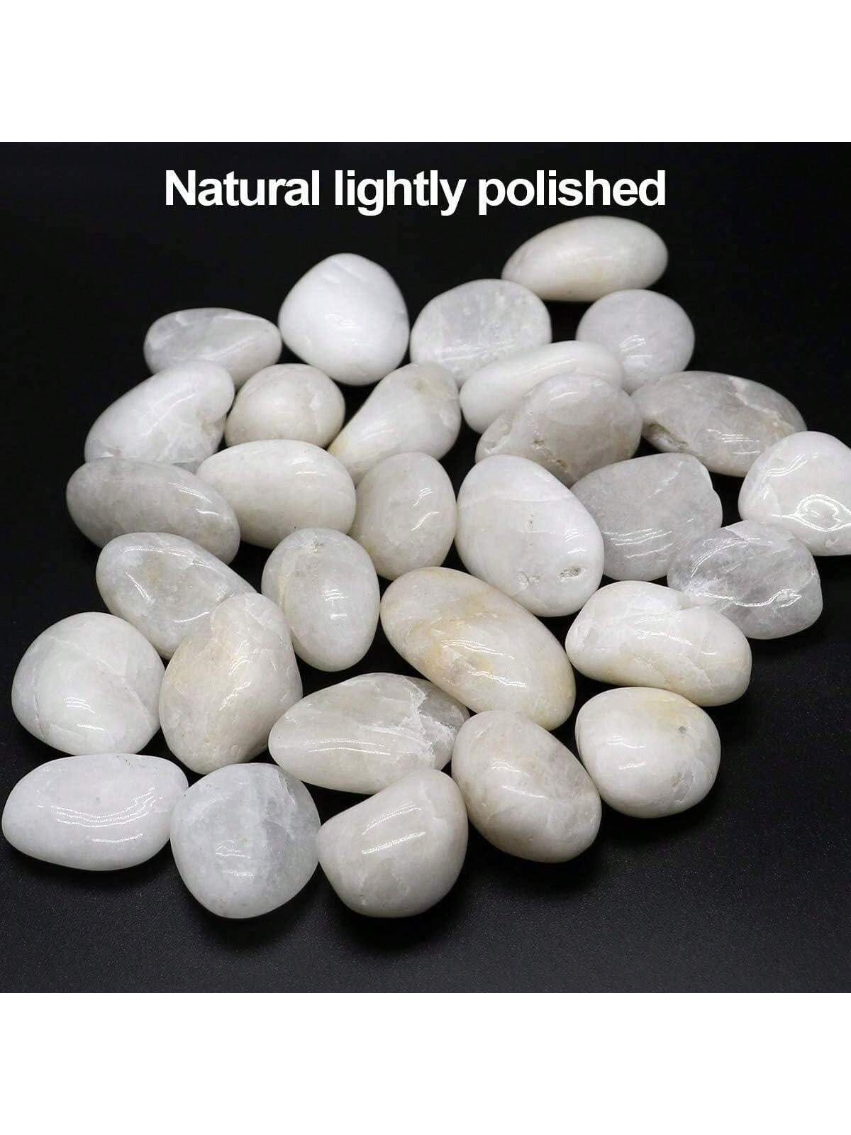 River Rocks Dekorative dekorat – Aquarium Marine Stone Bewertung und Preis