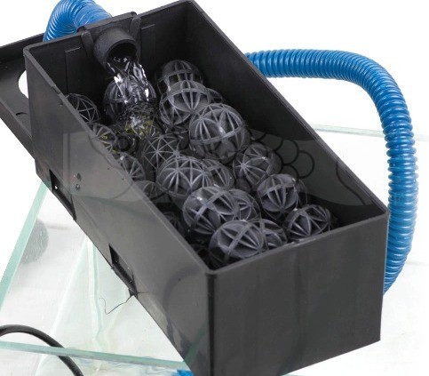 50 Stück 2,5 cm große Bio-Kuge – Aquarium Marine Color Bewertung und Preis