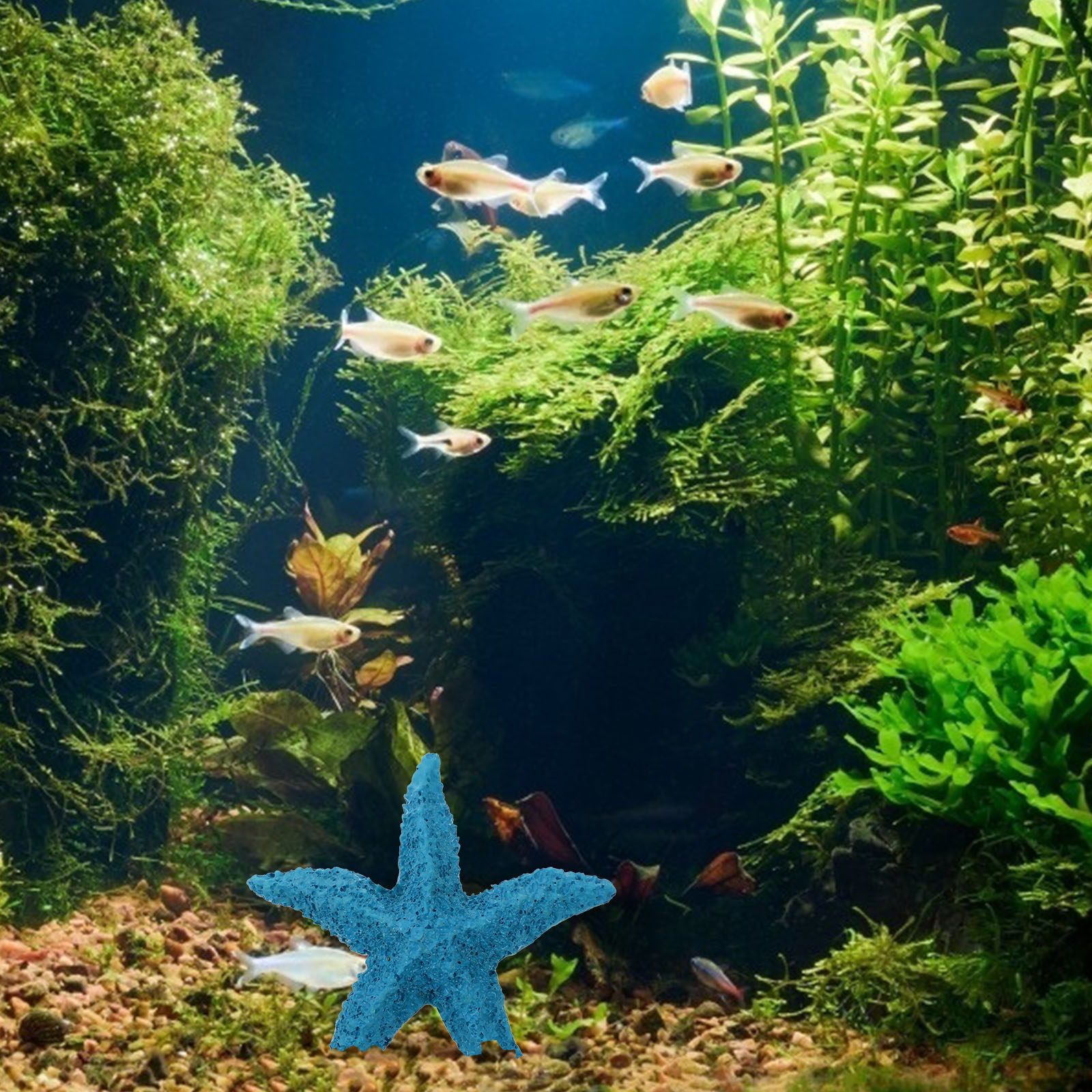 2 Stück Meerestier-Ornamente a – Marine Aquarium Home Bewertung und Preis