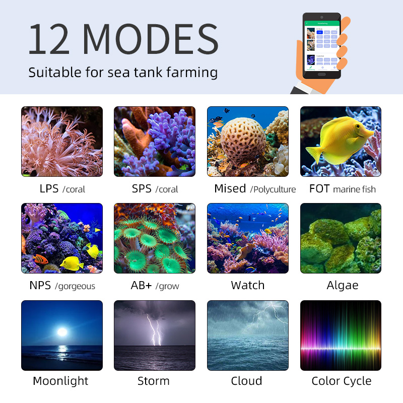 ZXY Heißer Verkauf WEEKAQUA Z2 – Marine Aquarium App Bewertung und Preis