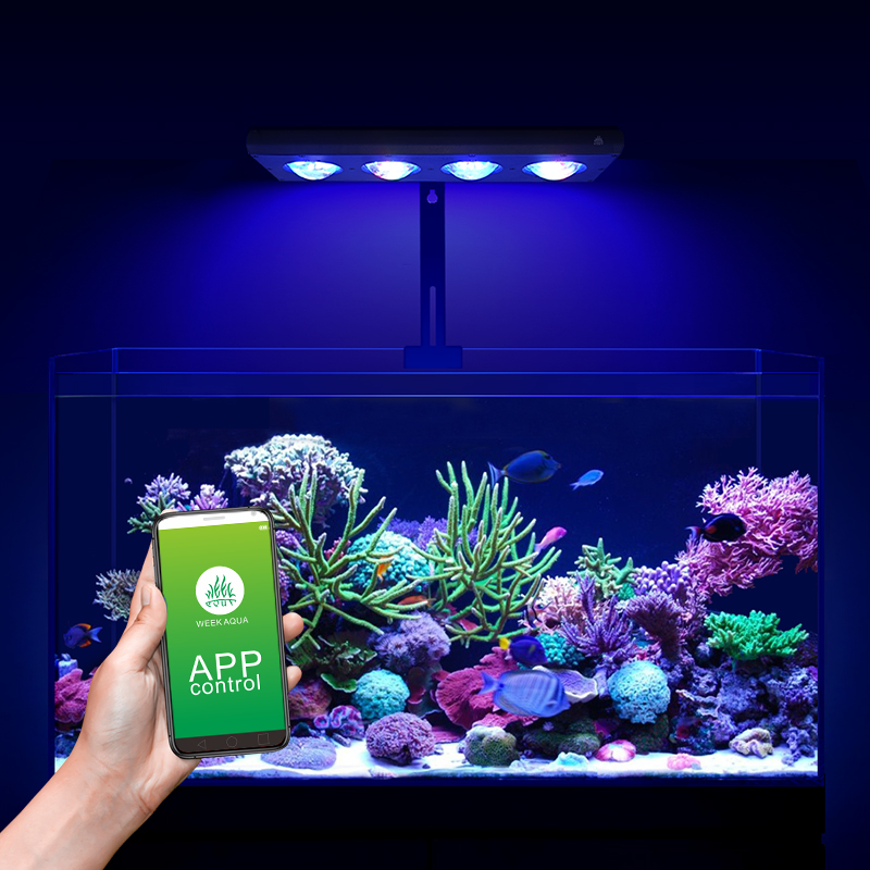 ZXY Heißer Verkauf WEEKAQUA Z2 – Marine Aquarium App Bewertung und Preis