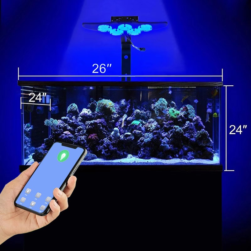 Hochleistungs-LED-Aquariumbele – Marine Aquarium App Bewertung und Preis