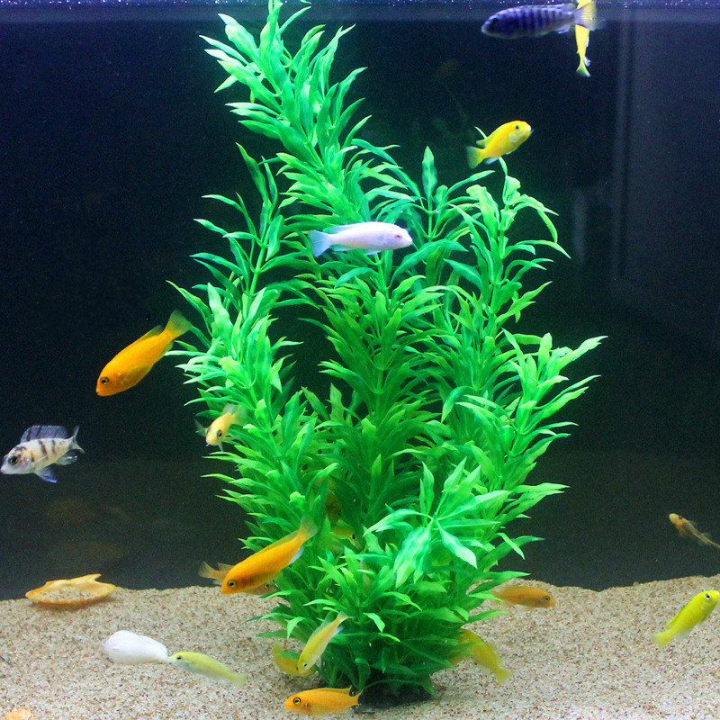50CM Künstliche Aquarium Selte – Aquarium Marine Tank Bewertung und Preis