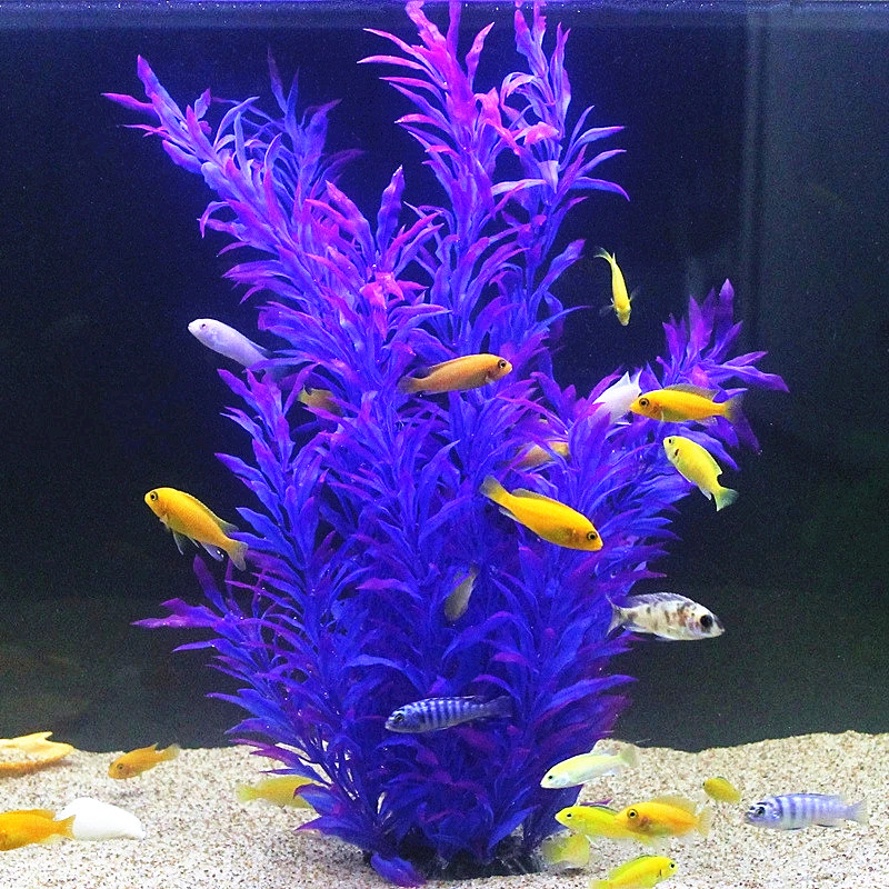 50CM Künstliche Aquarium Selte – Aquarium Marine Tank Bewertung und Preis