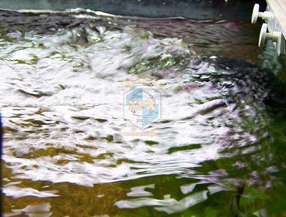 Sunsun Jvp-200 neueste Waver-M – Aquarium Marine Color Bewertung und Preis
