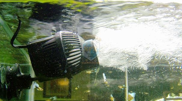 Sunsun Jvp-200 neueste Waver-M – Aquarium Marine Color Bewertung und Preis