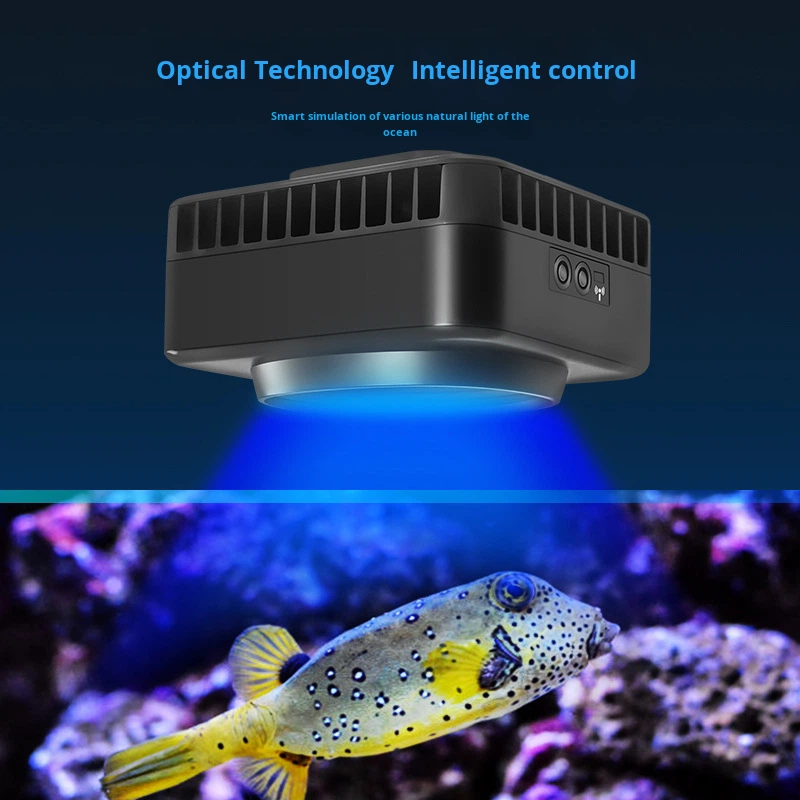 Jebao GSQ Smart Marine Koralle – Aquarium Marine Color Bewertung und Preis